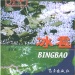 浪卡子县好玩的地方